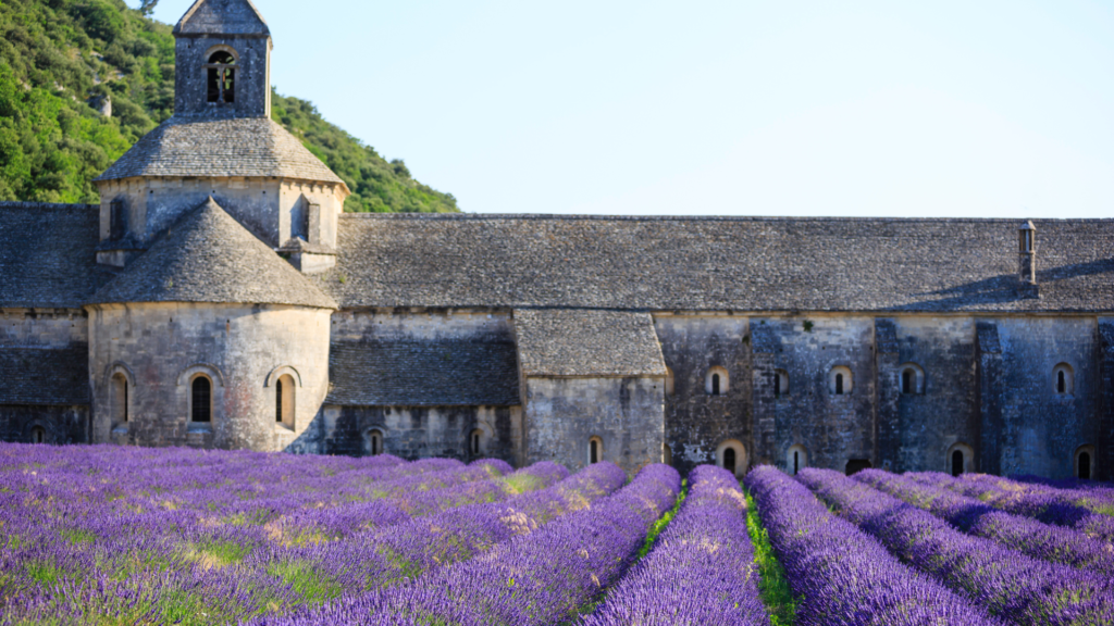 Historic France Abbaye de Sénanque