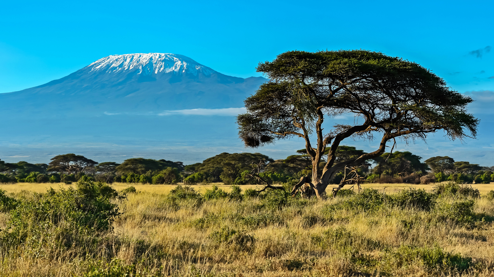 Mount Kenya